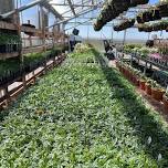 Day 1 of 3 - FFA Spring Plant Sale - Green Thumb Thursday