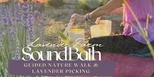 Sunset Lavender, Nature Awareness and Sound-bath Experience