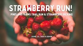 Sunday Run & Pick Your Own Strawberries!