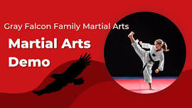 Gray Falcon Family Martial Arts Demo