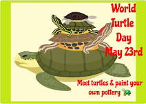 World Turtle Day at The Coop