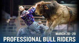 Professional Bull Riders