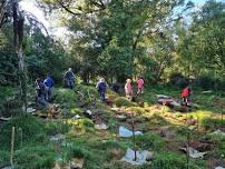 Cole Reserve Planting, Tikorangi