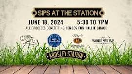 Sips at the Station Benefitting Heroes for Hallie Grace