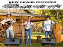 New Grass Express @ The Honeybee Festival