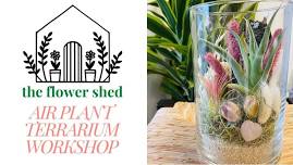 Air Plant Terrarium Workshop