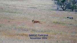 November 2024: MBESC Field trial