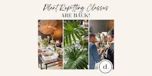 Details Plant Repotting Class