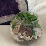 Moon Magic Terrarium Making