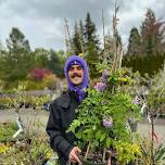 Intertwine your Garden with Vines by Larry Clark