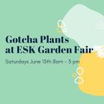 Gotcha Plants at Esk Garden & Lifestyle Fair