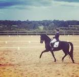 Megan Smith Dressage Clinic SATURDAY