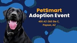 Payson PetSmart Adoption Event