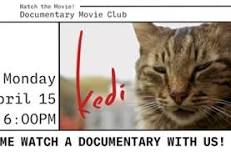 Movie Night: Kedi: The Cats of an Ancient City