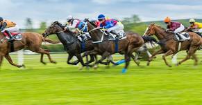 Racing Event Buffet at Skyline Terrace