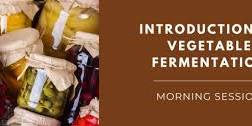 Introduction to Vegetable Fermentation - Morning Session