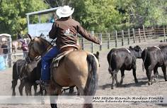 Pipestone County Fair Ranch Rodeo