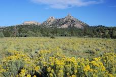 Flora at Chimney Rock Tour