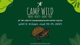 Camp Wild: Week 2: Oceans