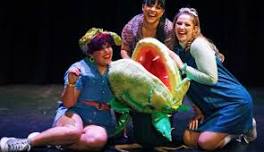 Little Shop of Horrors