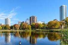 Music in the Park - Loring Park