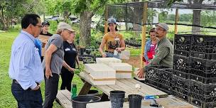 Volunteer Workday at the TreeFolks Nursery