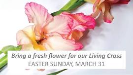 Easter Sunday - Bring a Fresh Flower!