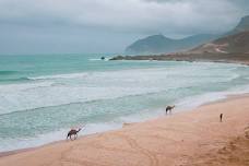 Al Fizayah Beach Tour: Experience Local Life and Swim at Al Moghaysil Beach