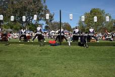 Sakura Matsuri  - Cherry Blossom Festival