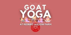 Goat Yoga