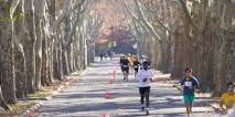 Queens Marathon, QDR Half Marathon & 10K