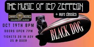 Black Dog the Music of Led Zeppelin plus rock classics.