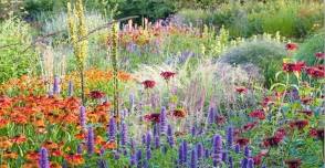 The Art of Cottage Gardens