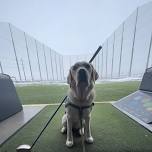 2024 Canine Partners of the Rockies Charity Golf Tournament