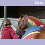 EQ75: Equine Massage & Bodywork for Owners and Trainers