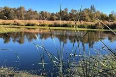 Guided Nature Walk