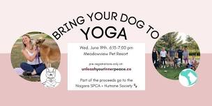 Bring Your Dog to Yoga at Meadowview Pet Resort - June 19th