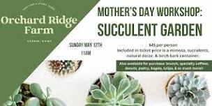 Mother's Day Succulent Garden Workshop