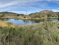 Lovely Sage Trail Loop Hike (Daley Ranch)