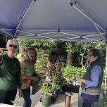 Summer Native Plant Sale - June, 2024