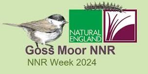 NNR Week 2024 - Goss Moor Bat Walk