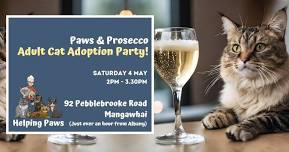 Paws & Prosecco: Adult Cat Adoption Party