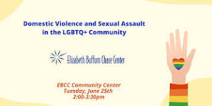 Domestic Violence and Sexual Assault in the LGBTQ+ Community