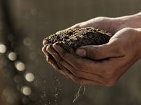 Soil Health to Maintain Wealth Workshop