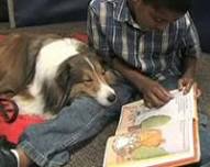 Read with a Dog