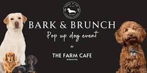 Bark & Brunch Pop Up Dog Event