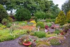 Lesbury Village Gardens 2024