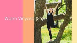 Warm Vinyasa (85)