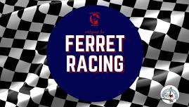 Ferret Racing 