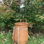 Pack Basket making course